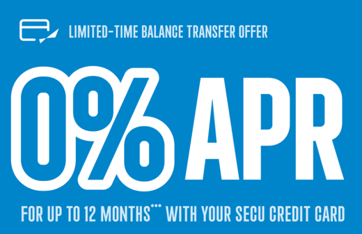 Blue graphic showing “0% APR for up to 12 months”