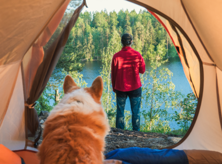 Dog looking out from a tent at its owner enjoying the scenic view